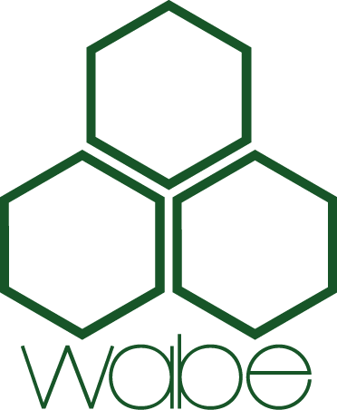WABE - Institut für Sozialforschung und Organisationsberatung